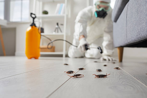Commercial Kitchen Cockroach Control in St. Joseph